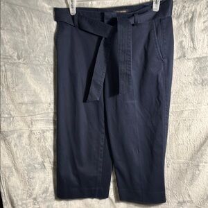 Banana republic women’s pants 10S high waisted  belt cropped length wide leg 10S